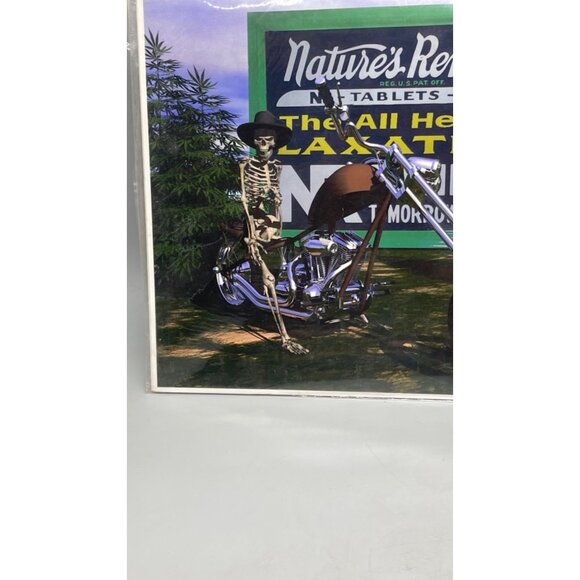 Natures Remedy Skeleton Motorcycle Art Print Signed Limited Edition 10/50 READ - Picture 3 of 6